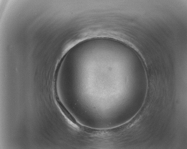 X0000060561525200511101550