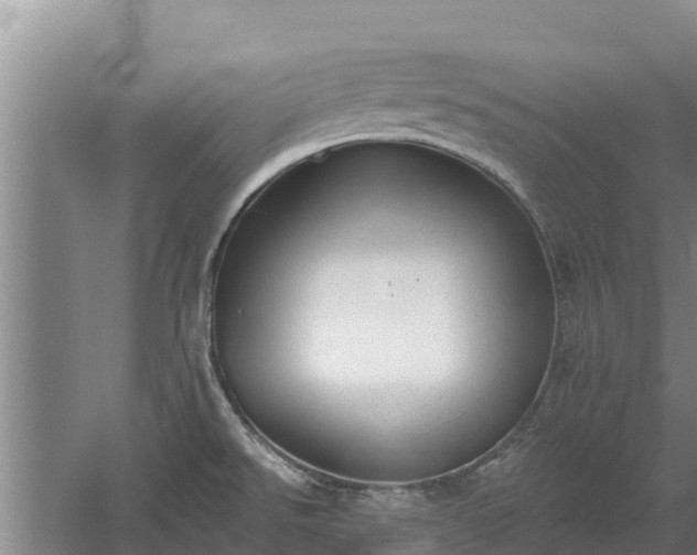 X0000060561526200511101550