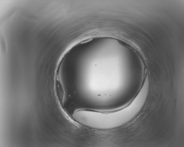 X0000060561528200511101550