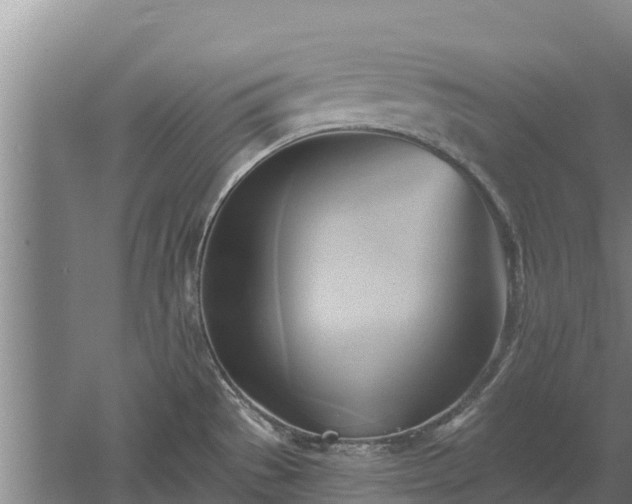 X0000060561529200511101550