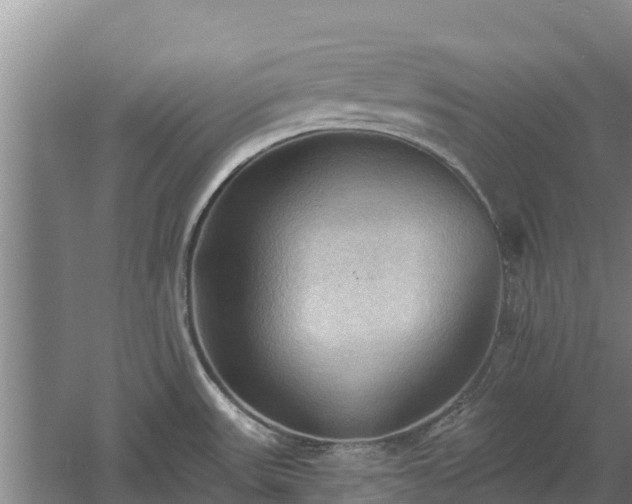 X0000060561531200511101550