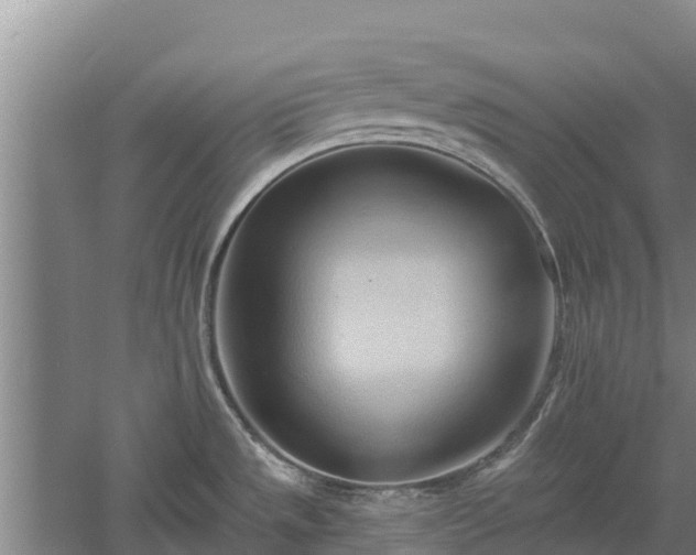 X0000060561533200511101550