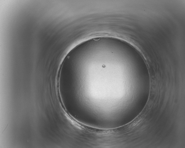 X0000060561535200511101550