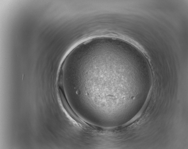 X0000060561536200511101550