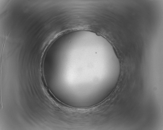 X0000060560002200511171617