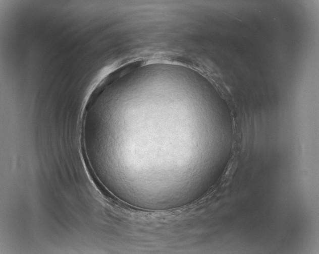 X0000060560003200511171617