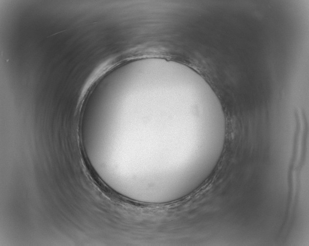 X0000060560004200511171617