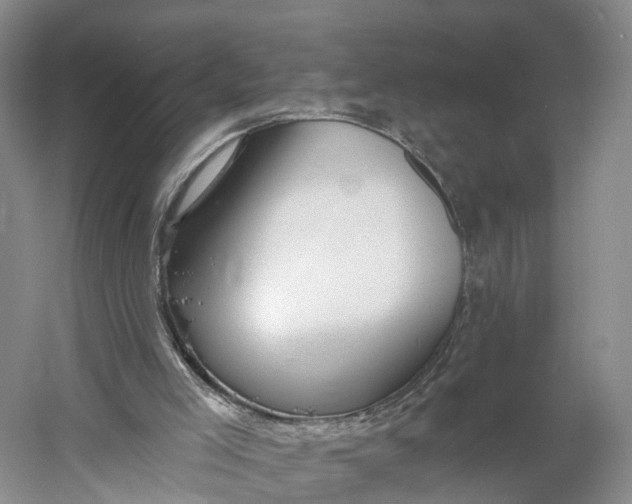 X0000060560005200511171617