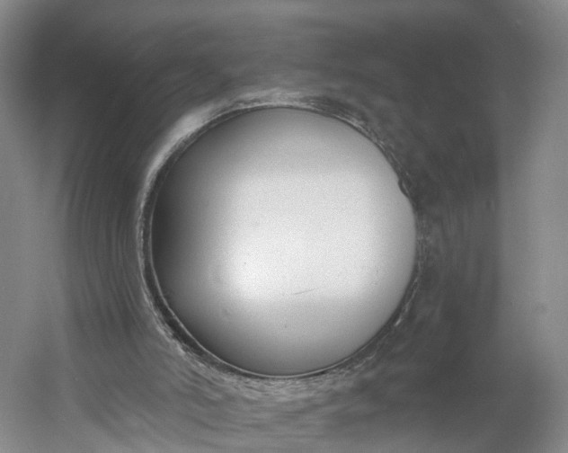 X0000060560006200511171617