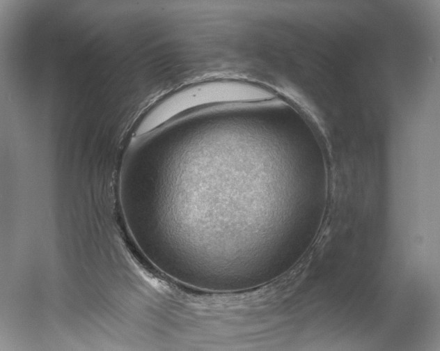 X0000060560009200511171617