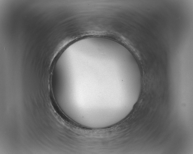 X0000060560011200511171617