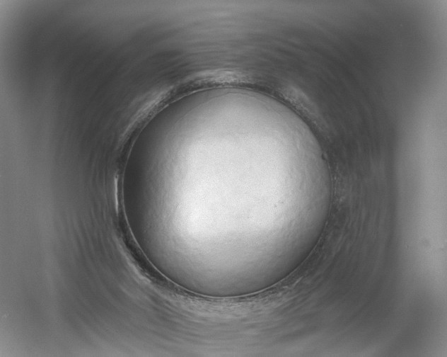 X0000060560014200511171617