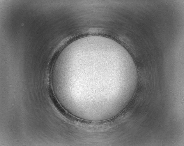 X0000060560016200511171617