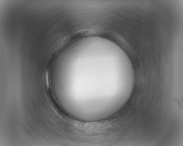 X0000060560022200511171617