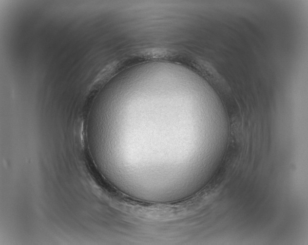 X0000060560024200511171617