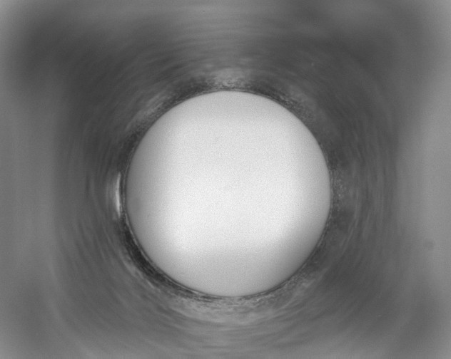 X0000060560028200511171617