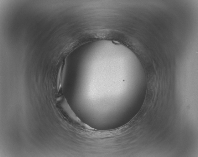 X0000060560031200511171617