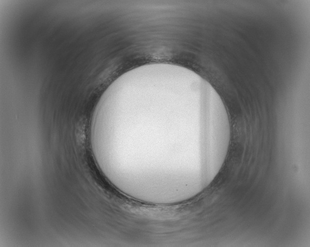 X0000060560032200511171617
