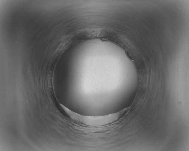 X0000060560035200511171617