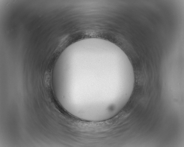 X0000060560036200511171617