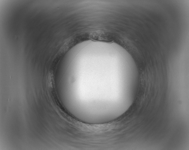 X0000060560038200511171617