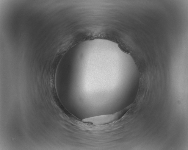 X0000060560039200511171617