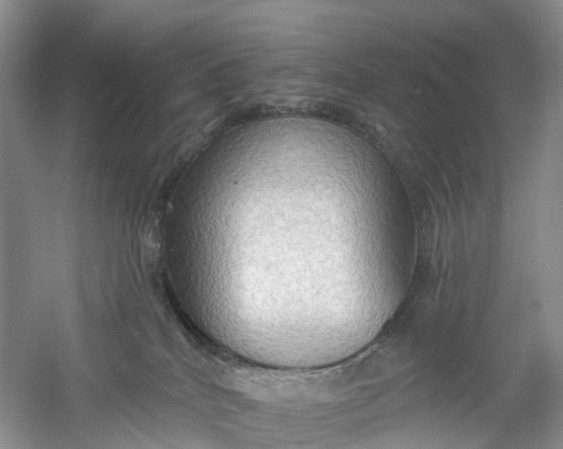 X0000060560040200511171617