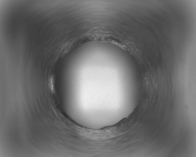 X0000060560042200511171617
