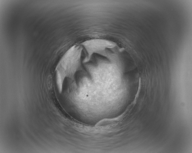 X0000060560043200511171617