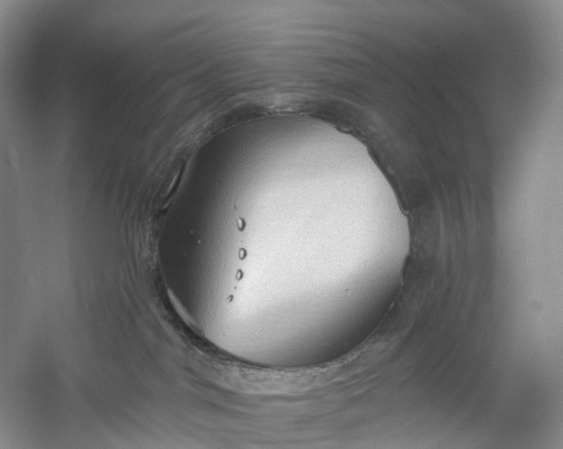 X0000060560044200511171617