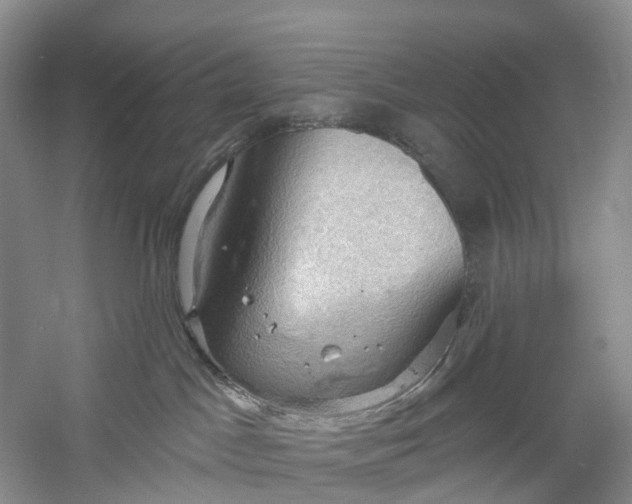 X0000060560045200511171617