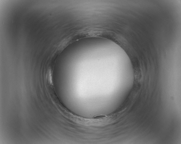 X0000060560046200511171617