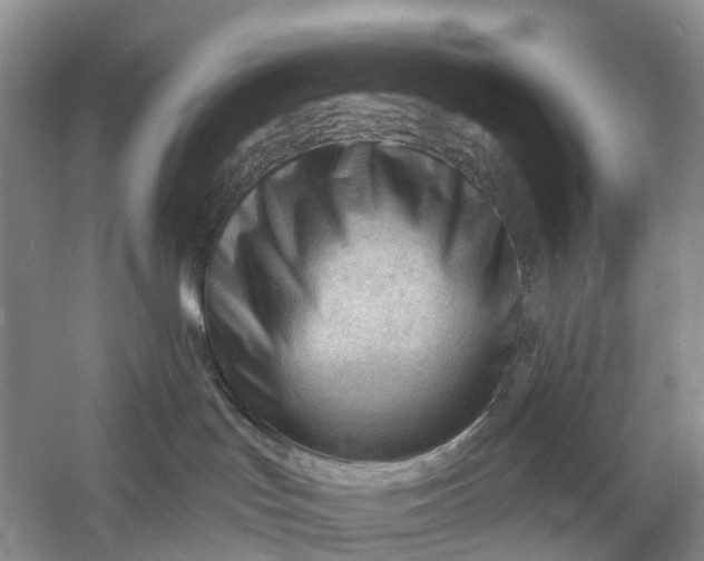 X0000060560047200511171617