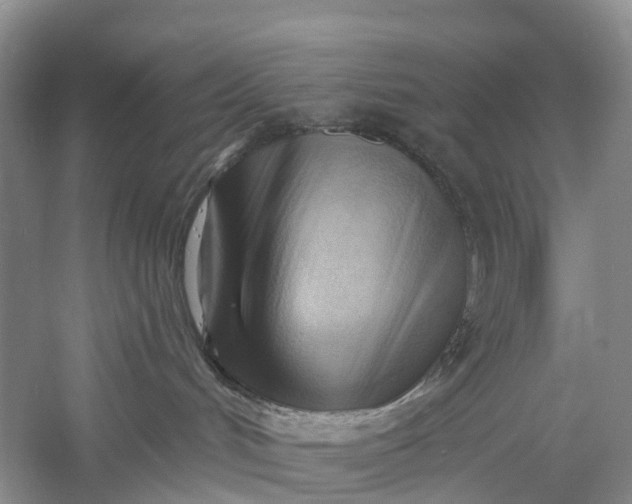 X0000060560048200511171617
