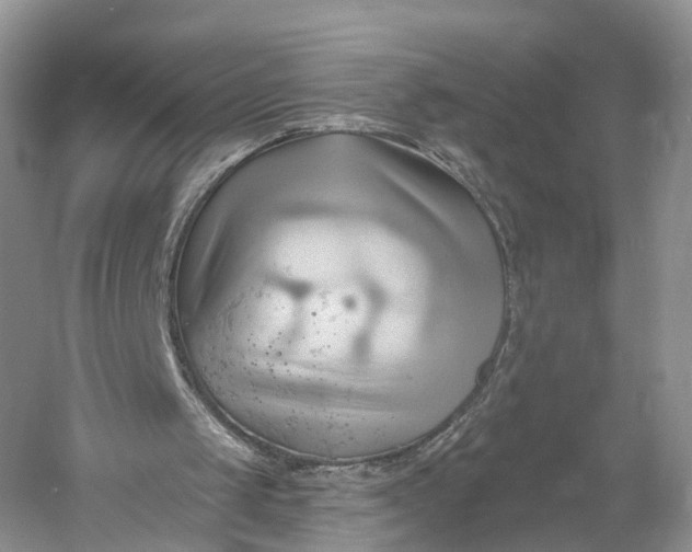 X0000060560049200511171616