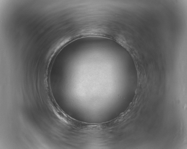 X0000060560050200511171616