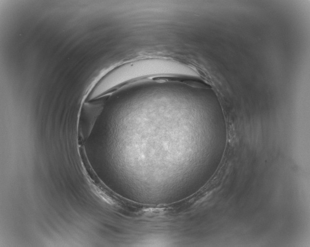 X0000060560052200511171616