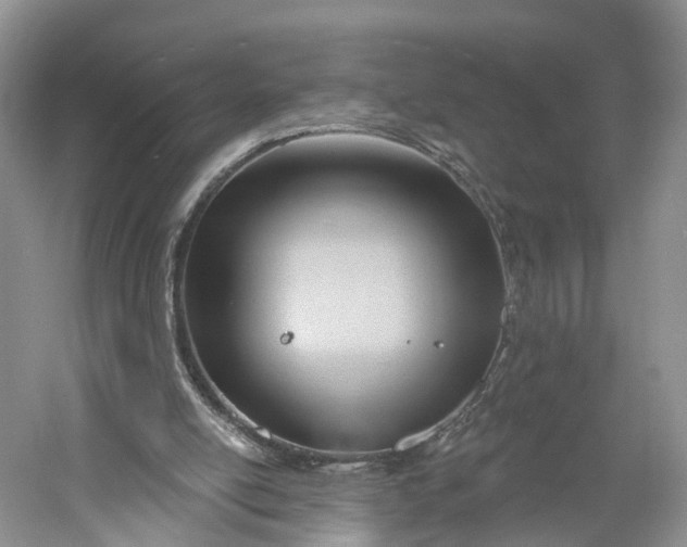 X0000060560054200511171616
