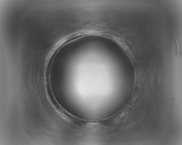 X0000060560055200511171616