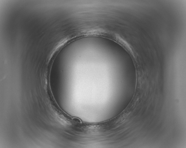 X0000060560059200511171616