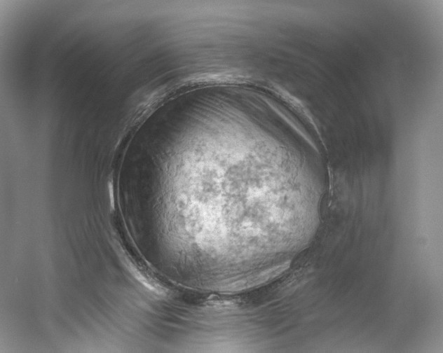 X0000060560061200511171616