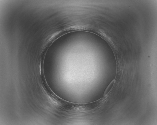 X0000060560062200511171616