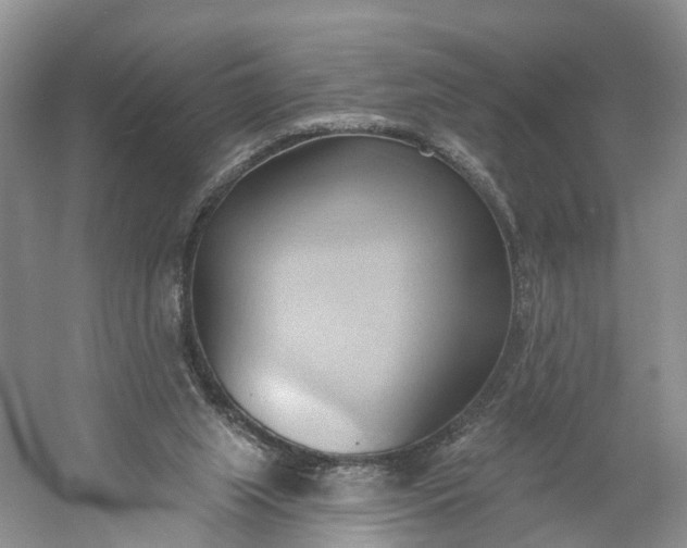X0000060560063200511171616