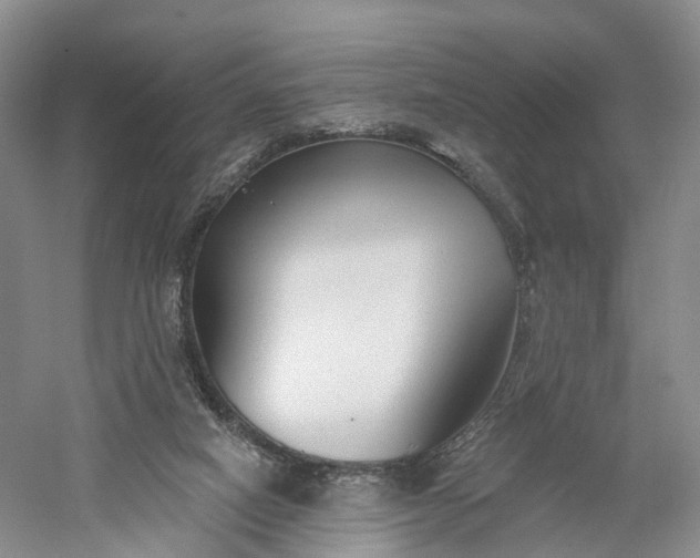 X0000060560066200511171616