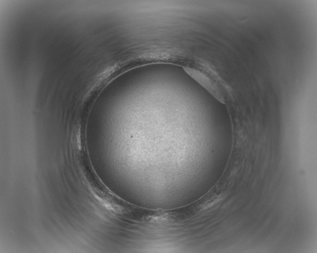 X0000060560068200511171616