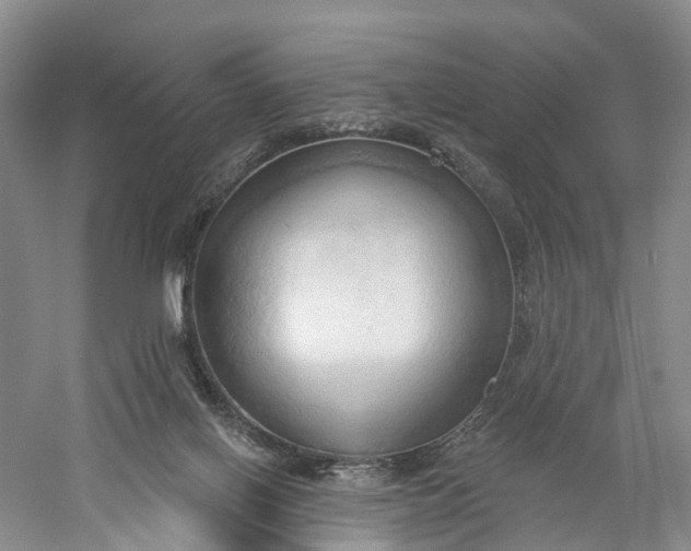 X0000060560070200511171616