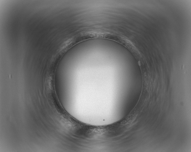 X0000060560071200511171616
