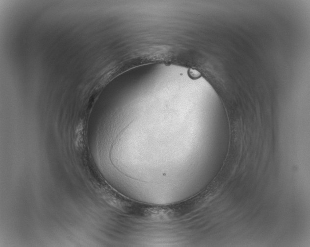 X0000060560073200511171616