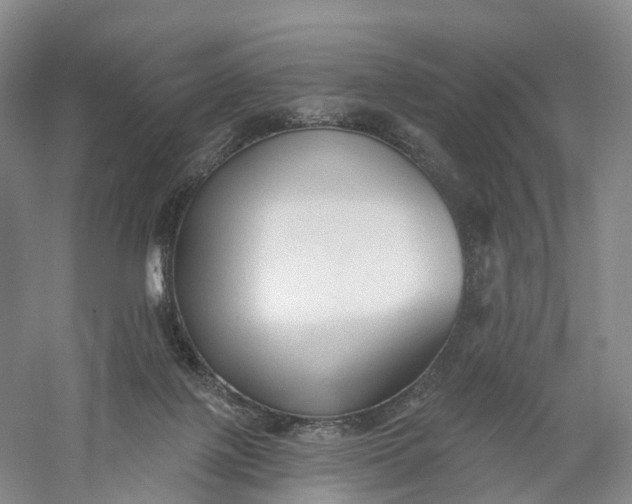 X0000060560075200511171616