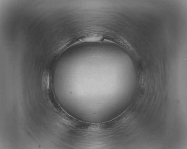 X0000060560076200511171616